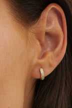 Zelda Gold Paved Zircon Hoop Earrings